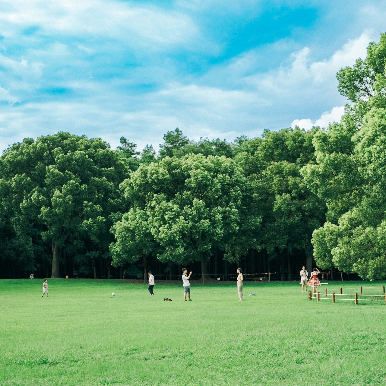 kids-plyaing-in-park